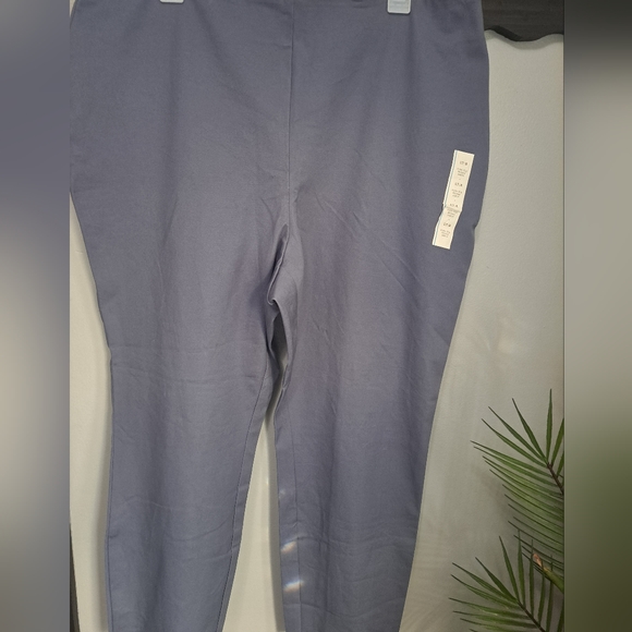 A New Day Skinny Ankle High-Rise Pants Fitted Hip & Thigh Stretch Size 17R - NWT - Picture 1 of 8